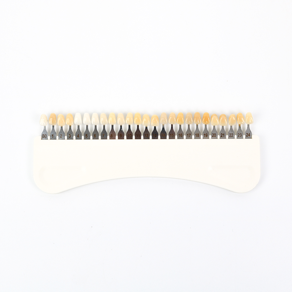 3D 치아 미백 색상 가이드 25가지 색상 도자기 치아 - Teeth Whitening Dental 리뷰 및 가격