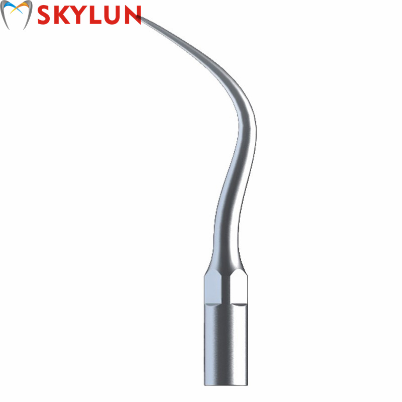 5PCS P4 치과용 초음파 스케일러 팁 치아 미백용  - Teeth Whitening Dental 리뷰 및 가격